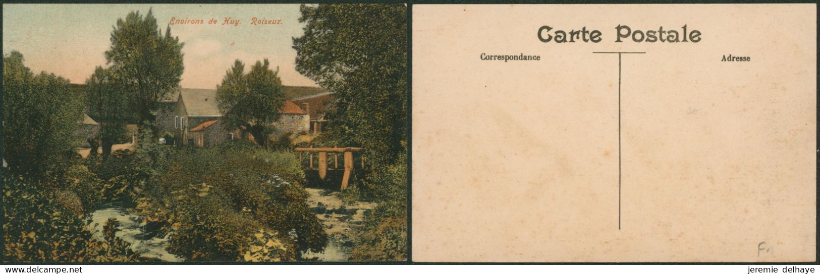 Carte Postale - Environ De Huy Roiseux / Colorisée - Hoei