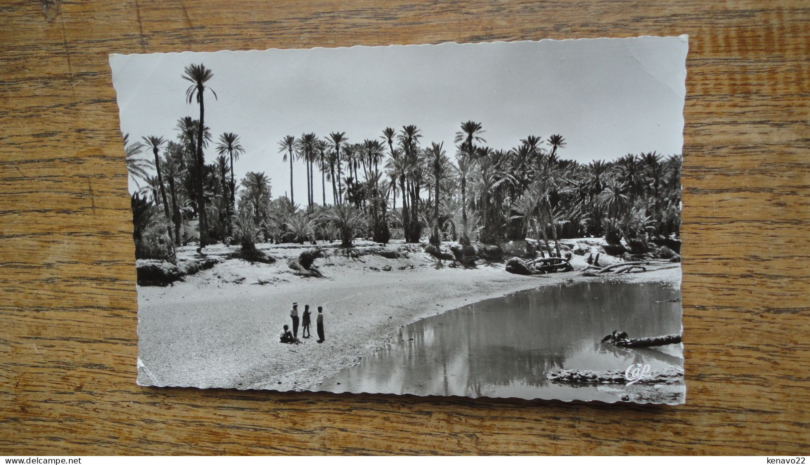 Algérie , Colomb Béchar , L'oued Et La Palmeraie - Bechar (Colomb Béchar)