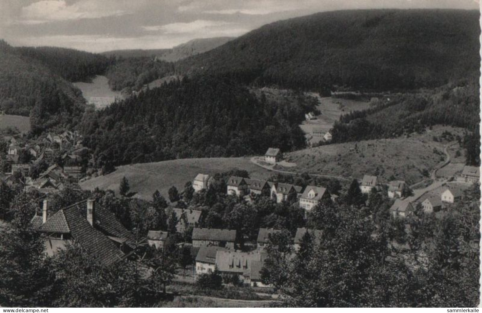 59973 - Bad Grund - Schönhofsblick - Ca. 1955 - Bad Grund