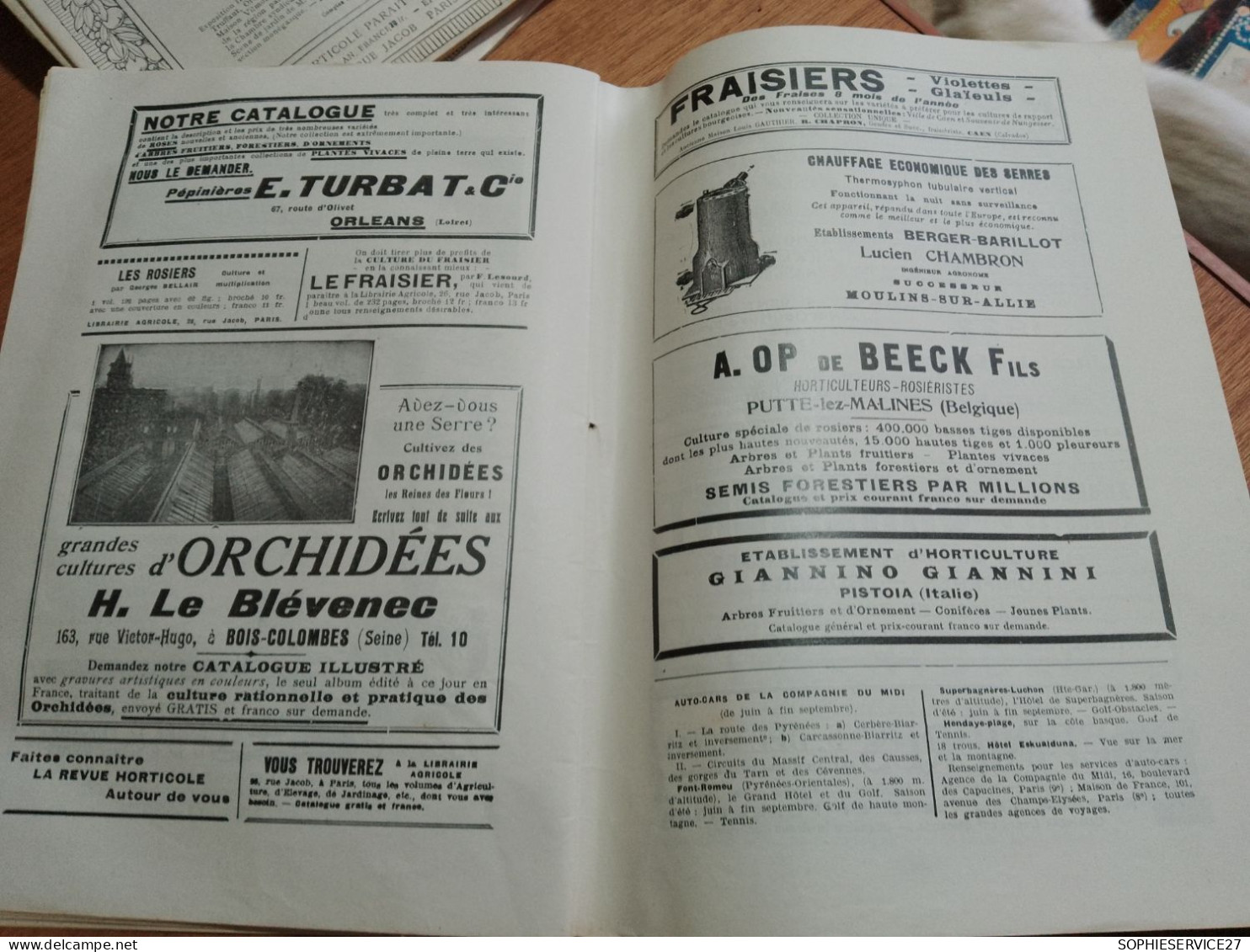 153 // REVUE HORTICOLE 1932 / - Jardinería