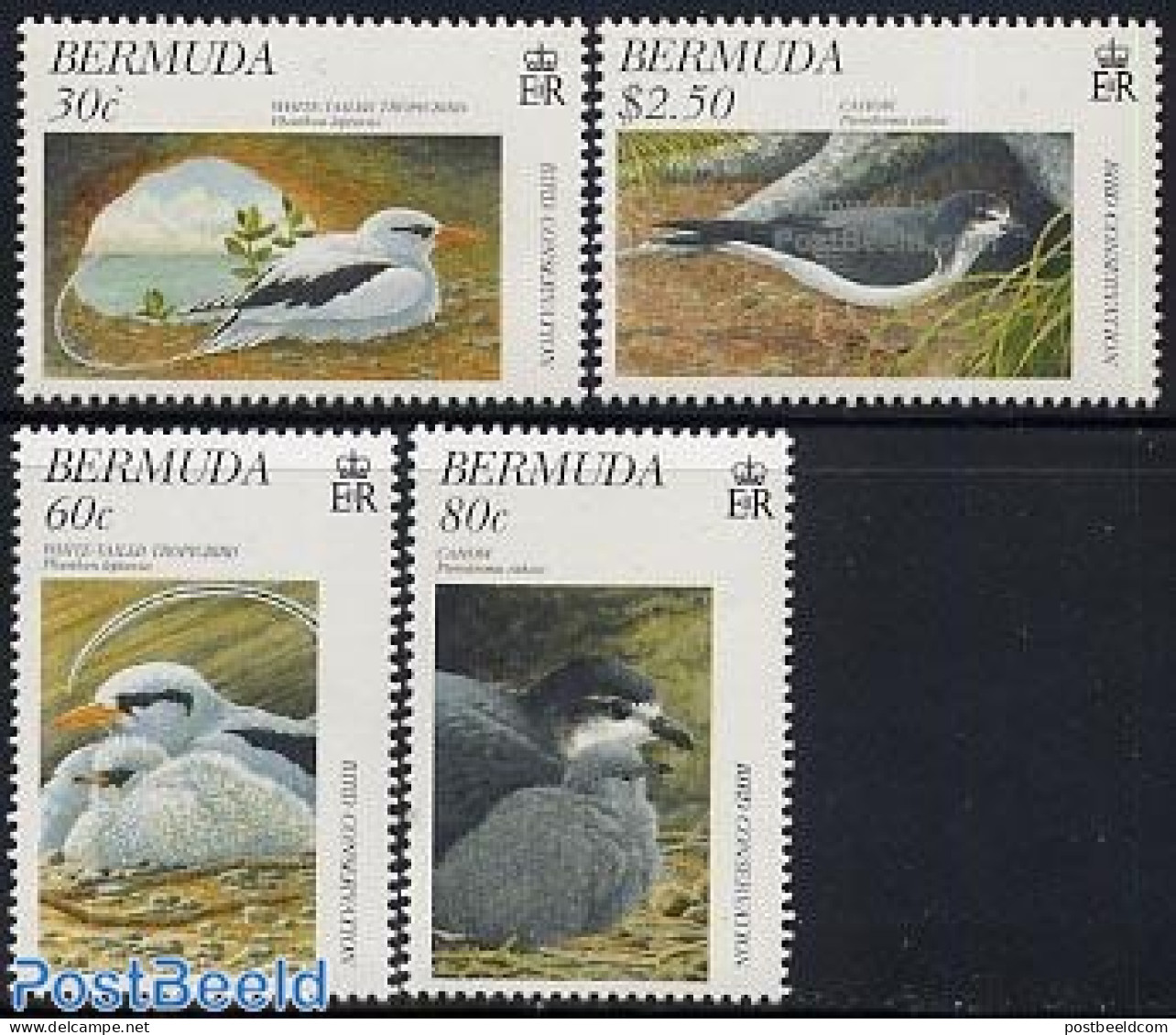 Bermuda 1997 Bird Protection 4v, Mint NH, Nature - Birds - Bermudes