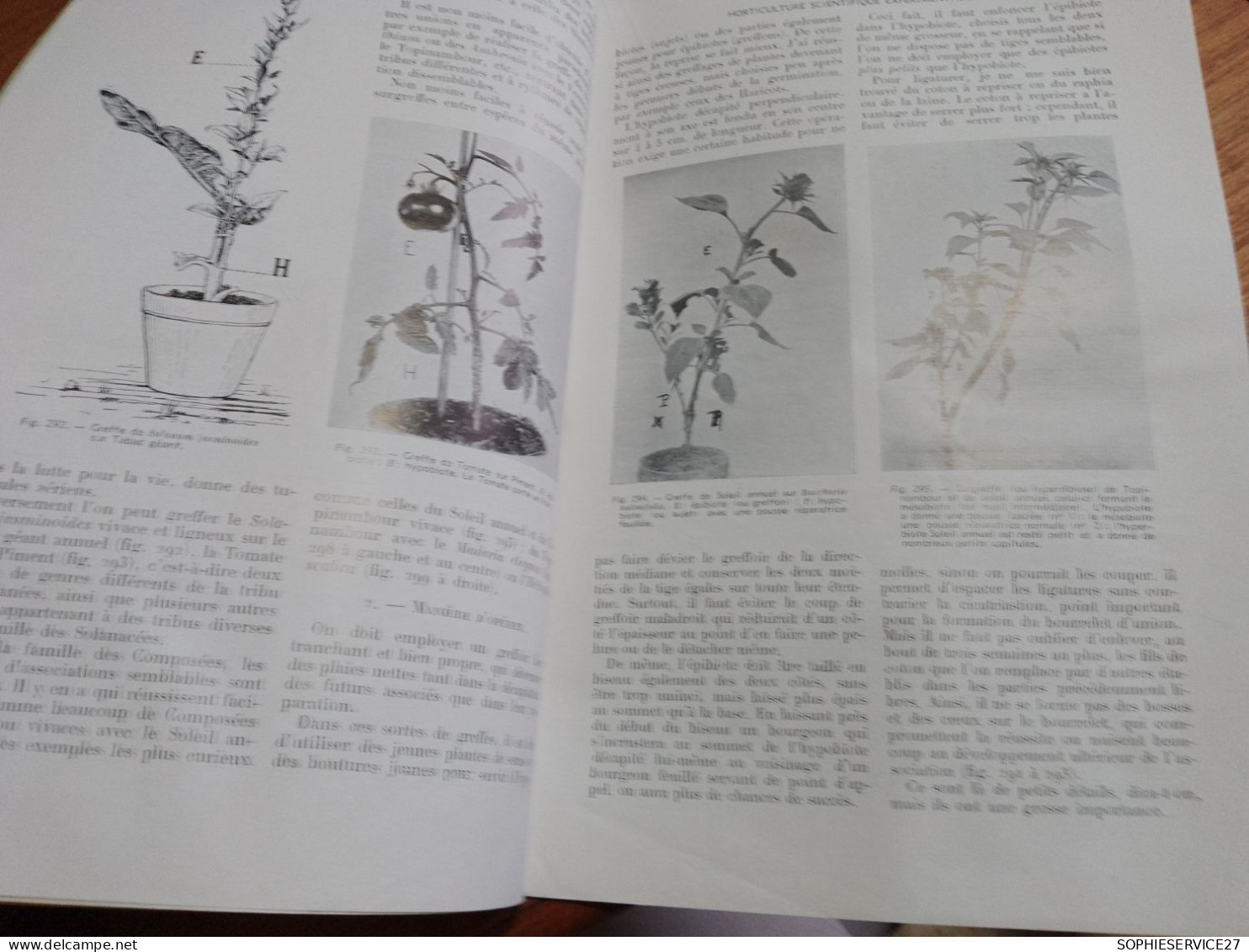 153 // REVUE HORTICOLE 1937 / HORTICULTURE SCIENTIFIQUE EXPERIMENTALE.... - Jardinage