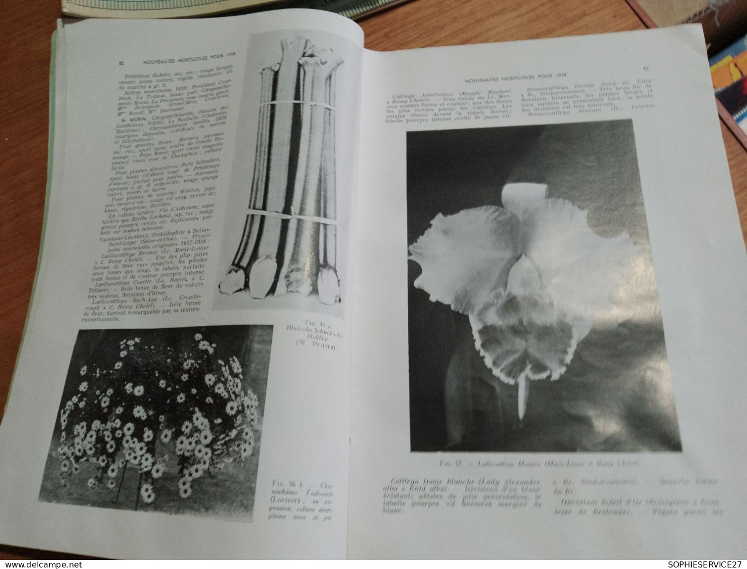 153 // REVUE HORTICOLE 1938 / HORMONES DE BOUTURAGE / TRAITEMENT D'HIVER DES ARBRES FRUITIERS..... - Jardinería