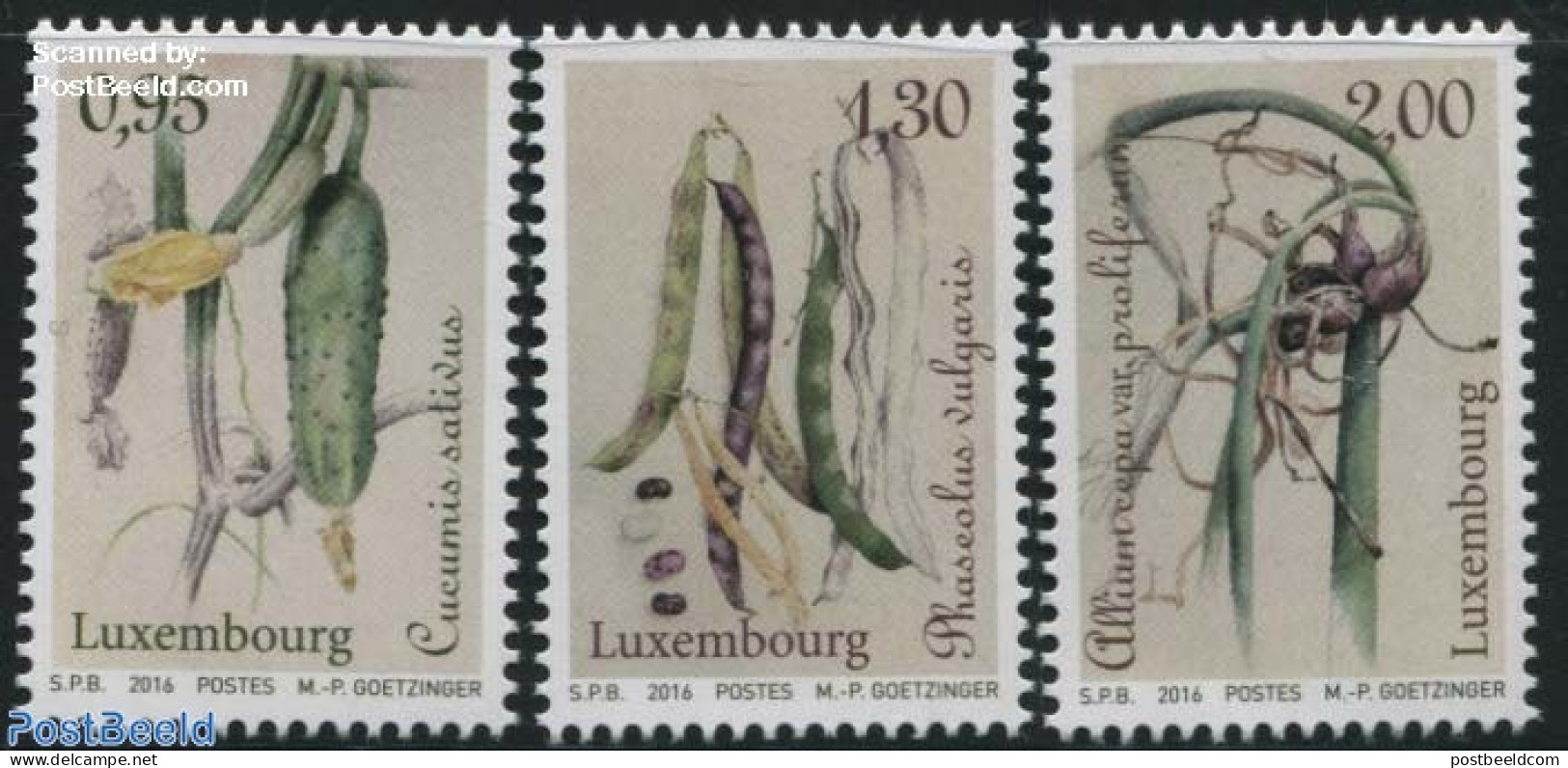 Luxemburg 2016 Vegetables Of The Past 3v, Mint NH, Health - Food & Drink - Nuevos