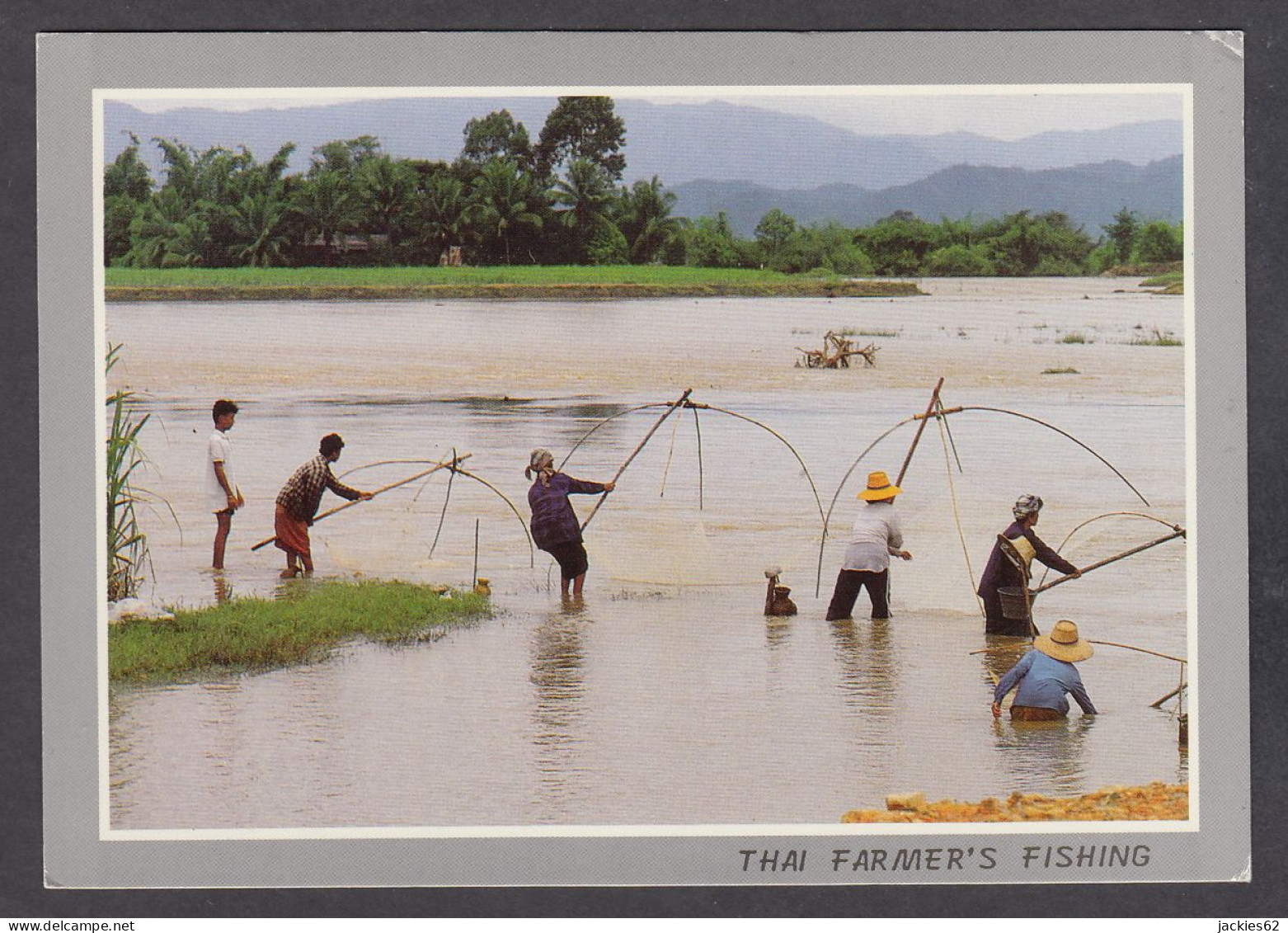 115916/ Thai Farmers Fishing - Tailandia