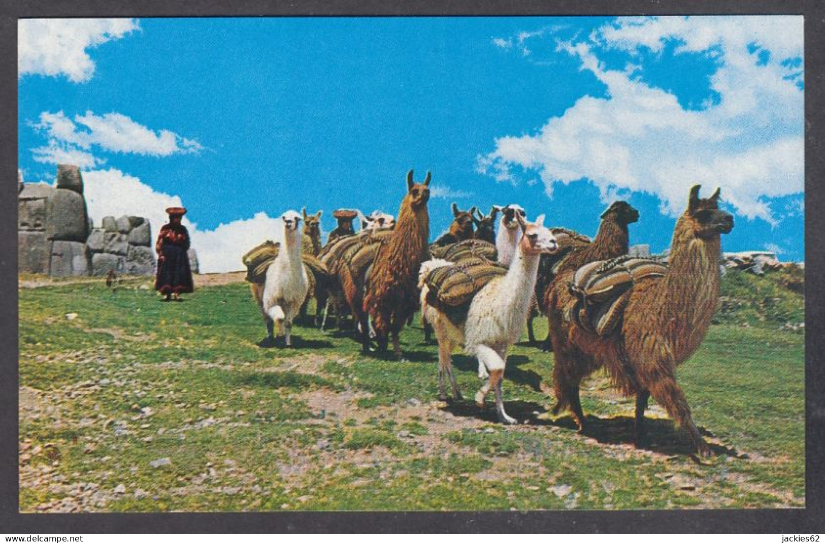 127704/ Region Of Cuzco, Caravan Of Llamas - Perú