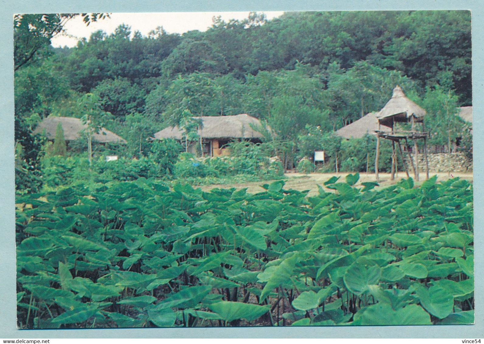 Korean Folk Vilage - A Taro Field And A Watchtower - Korea (Zuid)