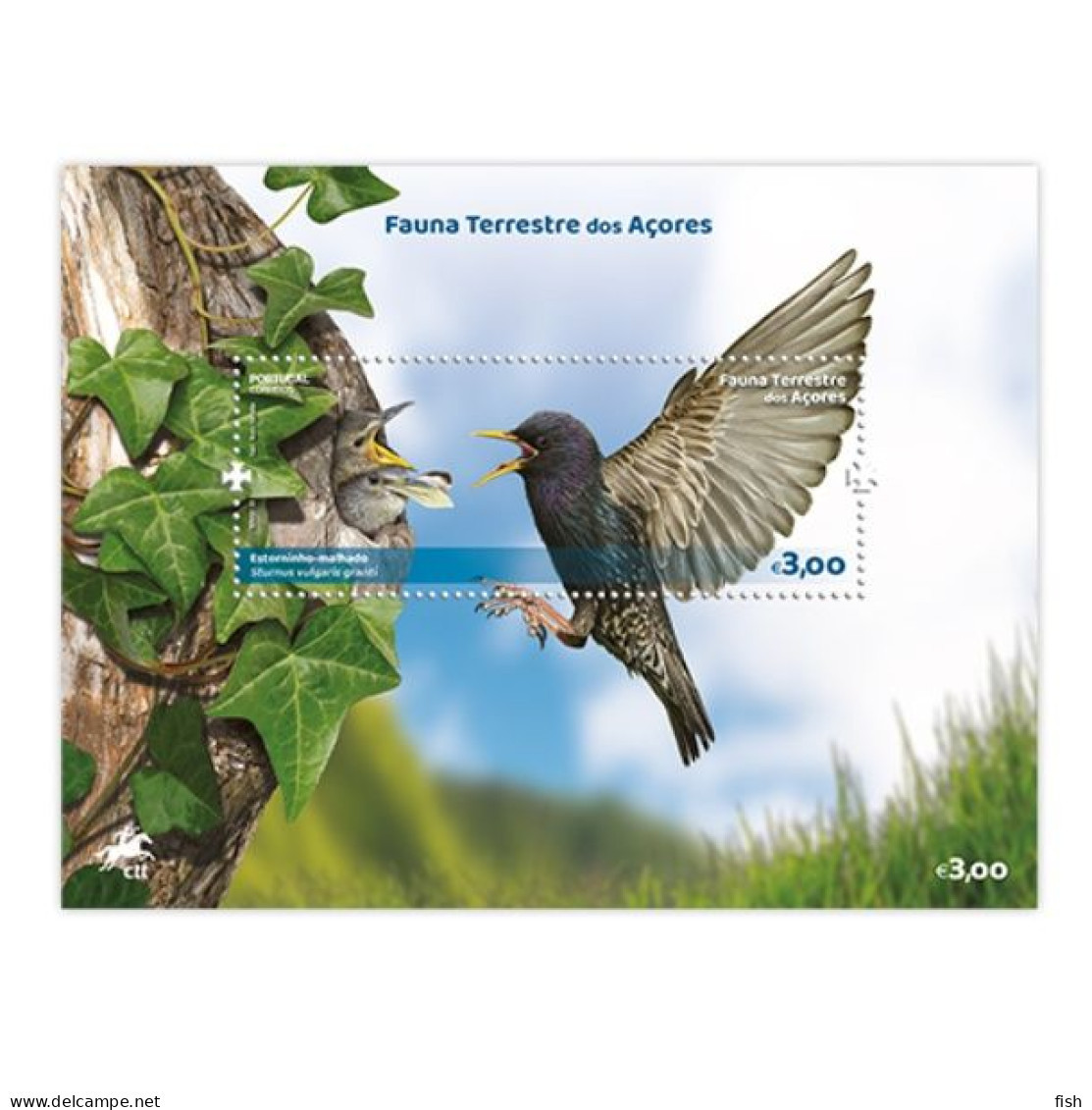 Portugal ** & Azores Terrestrial Fauna 2023 (97977) - Azores