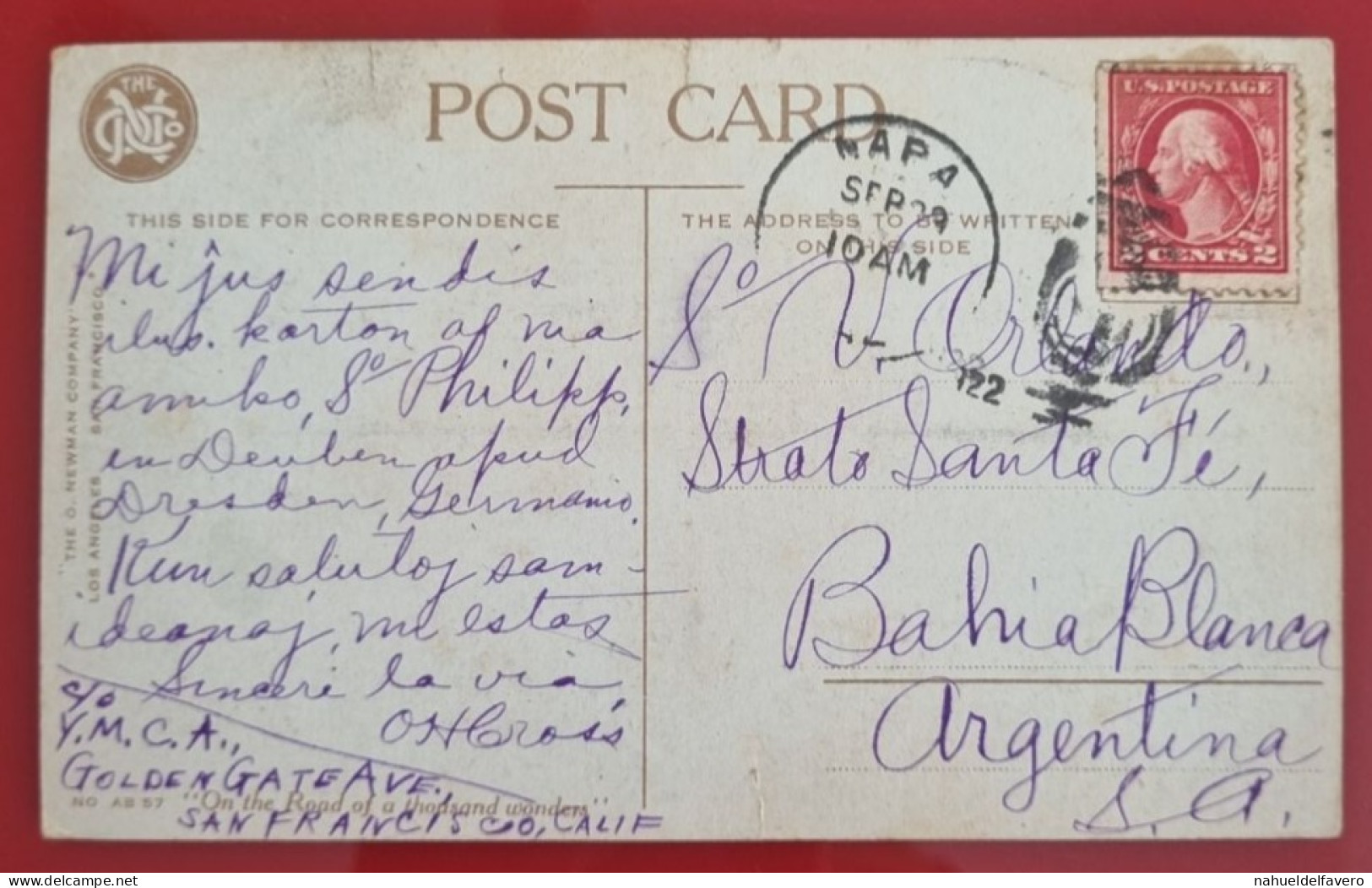 Carte Postale Diffusée 1917 - United States - A MONSTER GRAPE-VINE - Alberi
