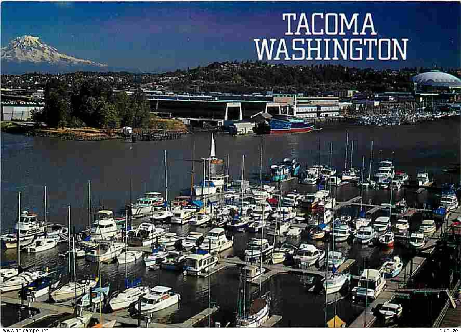 Etats Unis - Tacoma - Pictured Is One Of The Many Small Marinas That Dot The Tacoma Waterways - CPM - Voir Scans Recto-V - Tacoma