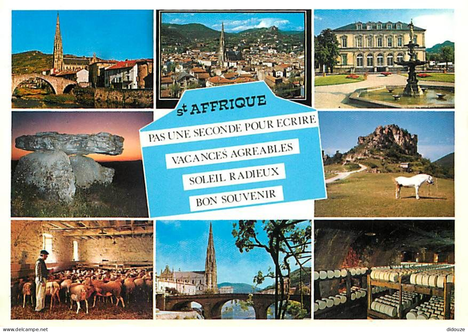 12 - Saint Afrique - Multivues - Chevaux - Chèvres - CPM - Voir Scans Recto-Verso - Saint Affrique