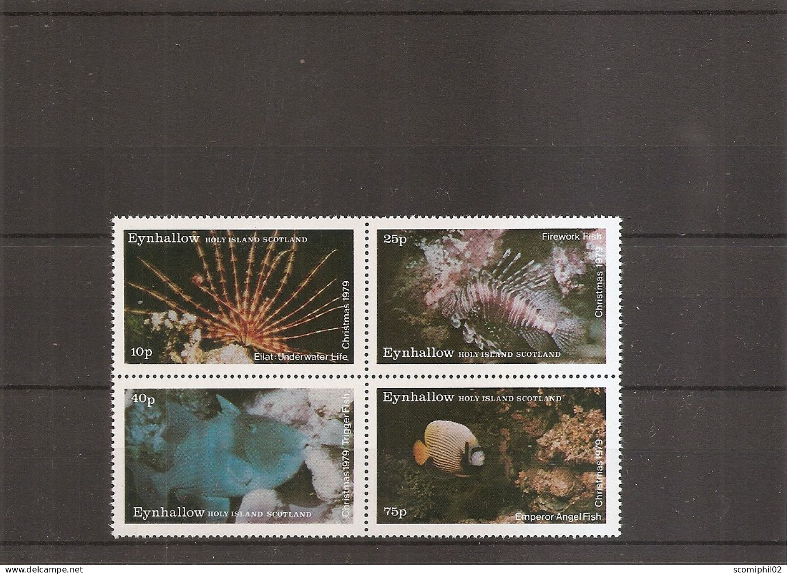 Vie Marine ( Série De 4 Timbres Locaux De Heynhallow En Bloc De 4 XXX -MNH ) - Marine Life