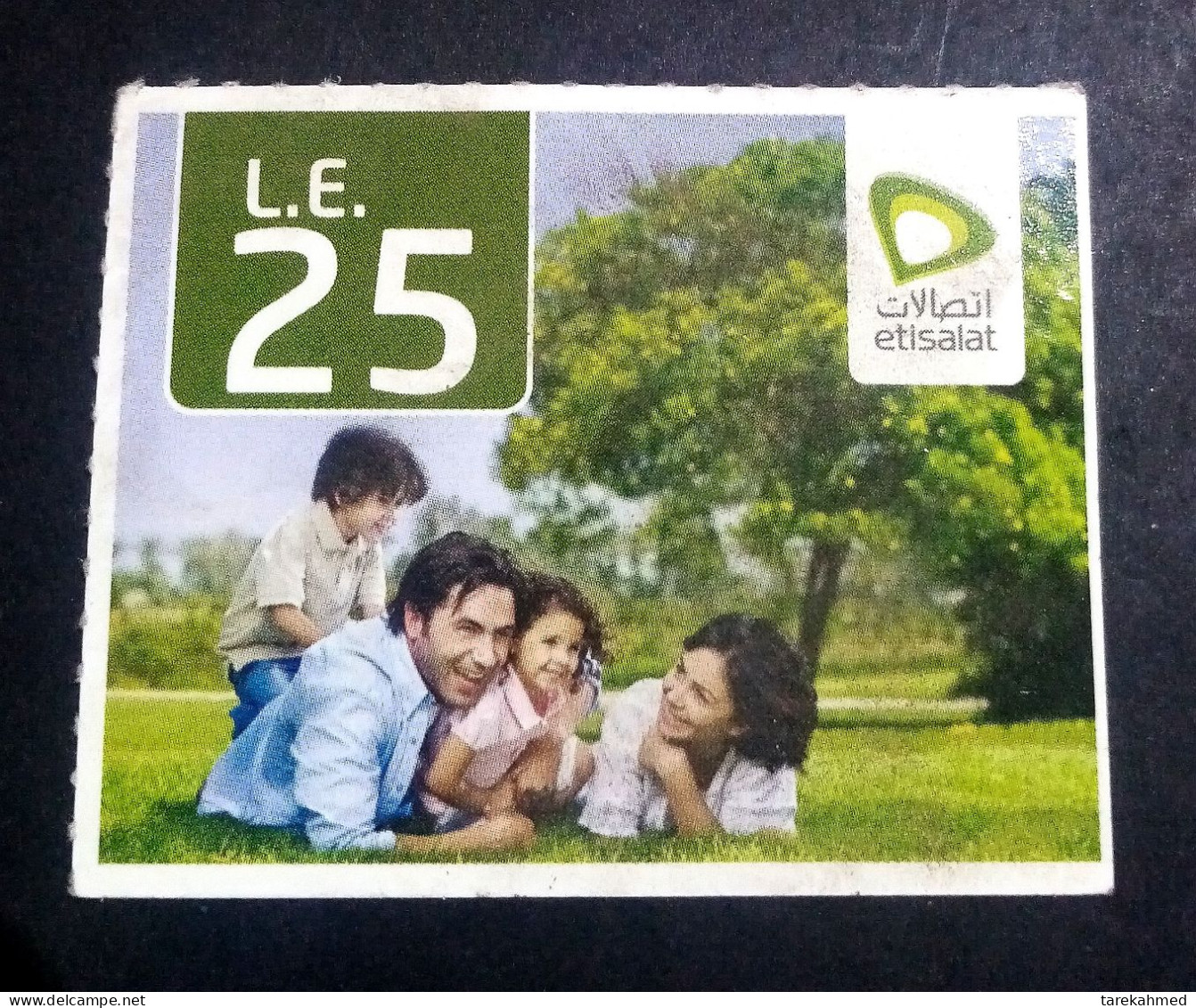 Egypt, Etisalat Mobile Recharging Card Of The Family In Park, Value 25 LE - Egypte