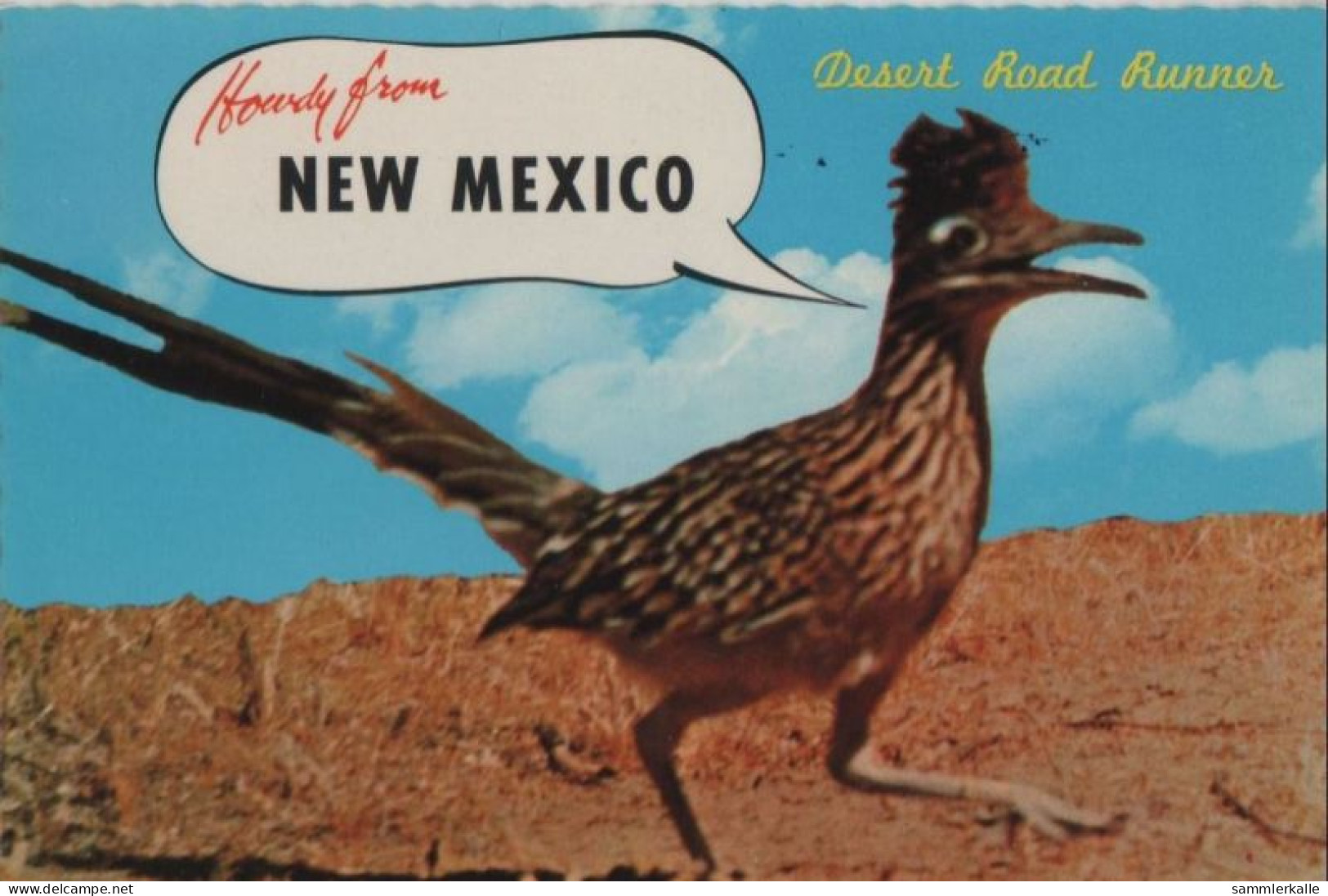 44172 - USA - New Mexico - The Road Runner - Ca. 1975 - Autres & Non Classés