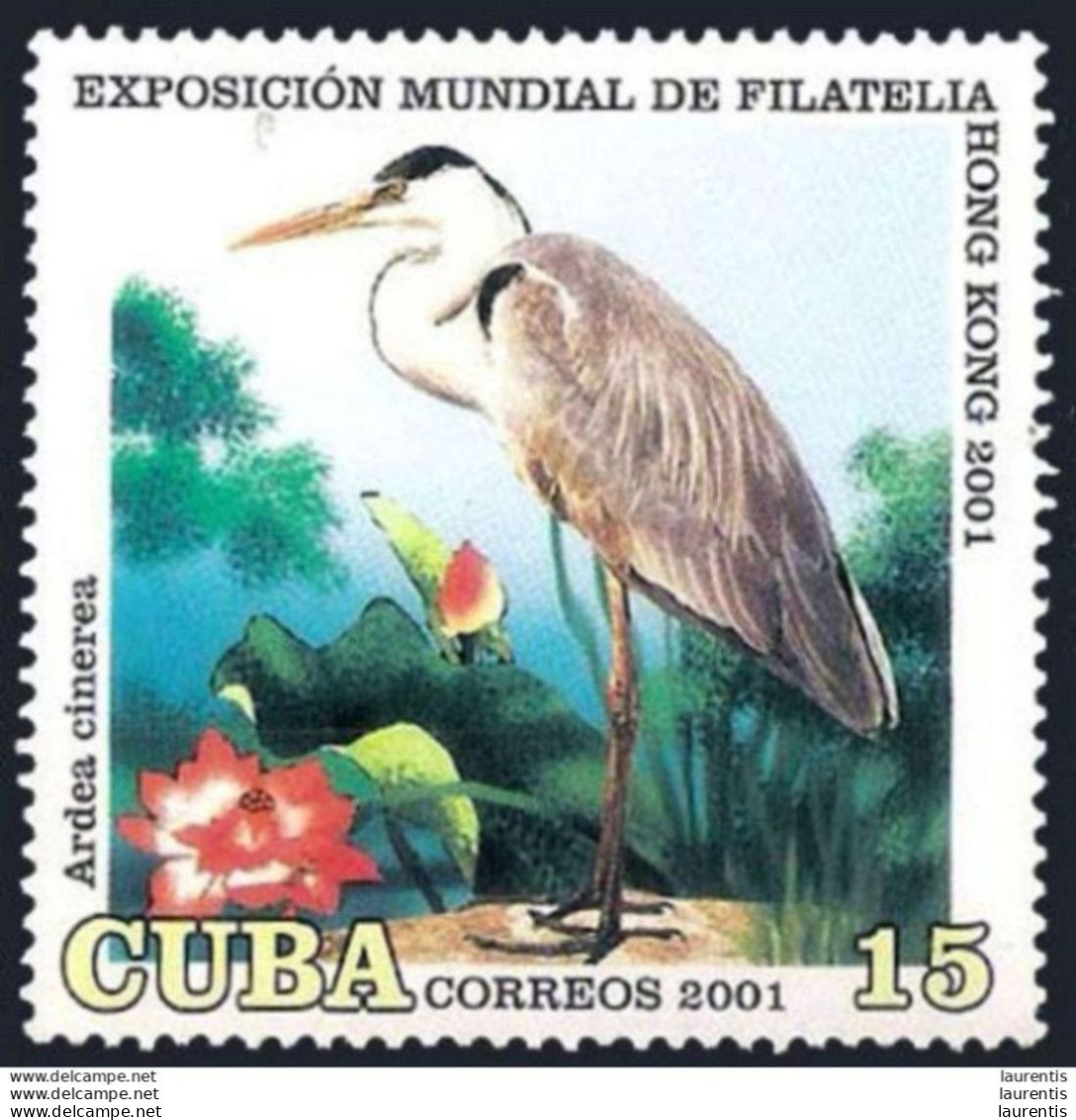 D14646  Birds - Oiseaux - Only This Crane In The Set  - Cb - 1,35 . - Picotenazas & Aves Zancudas