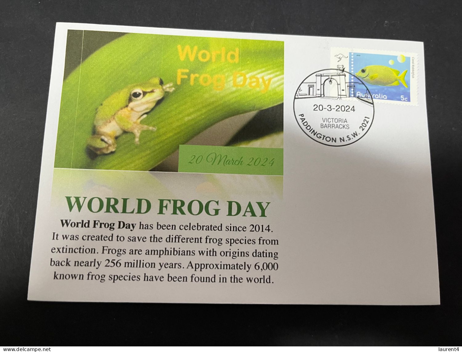 20-3-2024 (3 Y 32) World Frog Day / Journées Des Grenouille (today 20-3-2024) - Rane