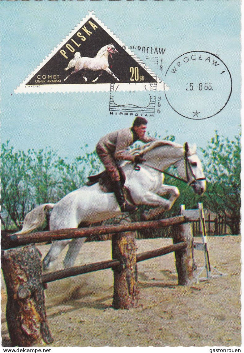 Carte Maximum Hongrie Hungary Cheval Horse 1312 - Maximum Cards & Covers
