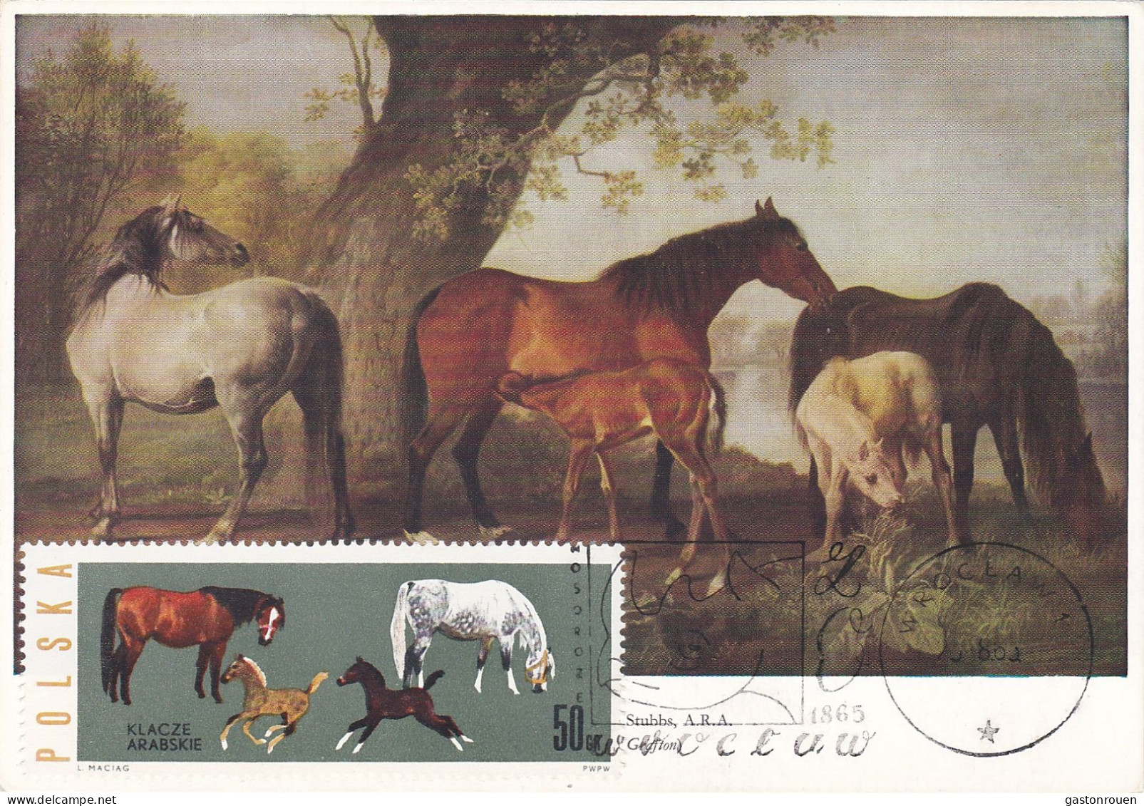 Carte Maximum Hongrie Hungary Cheval Horse 1315 - Maximum Cards & Covers