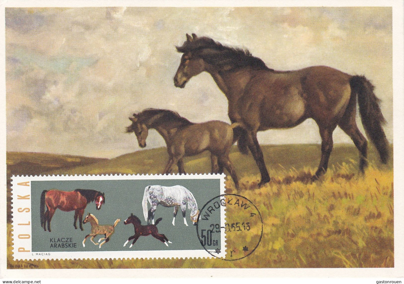 Carte Maximum Hongrie Hungary Cheval Horse 1315 - Maximum Cards & Covers