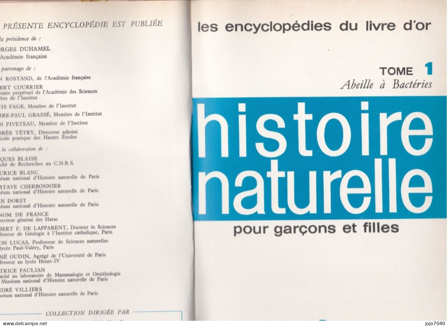 Encyclopédie De Sciences Naturelles - Encyclopédies