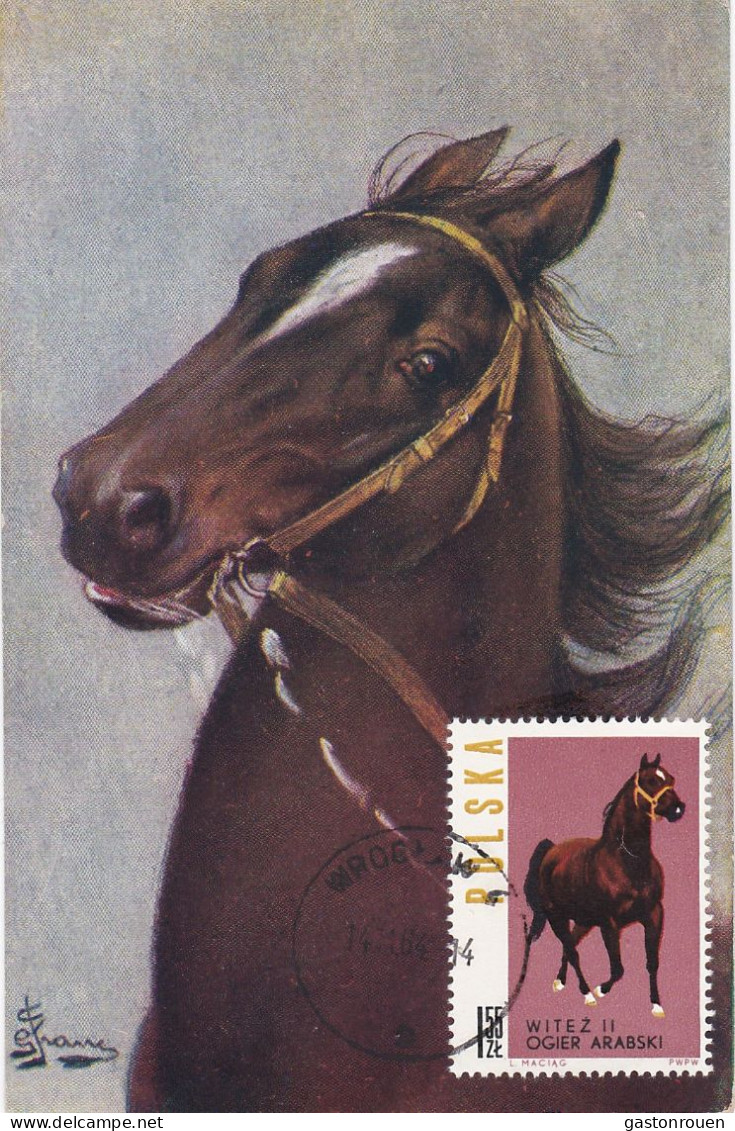 Carte Maximum Hongrie Hungary Cheval Horse 1318 - Maximum Cards & Covers