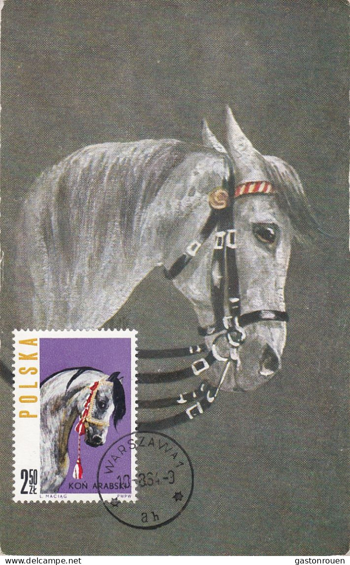 Carte Maximum Hongrie Hungary Cheval Horse 1319 - Maximum Cards & Covers