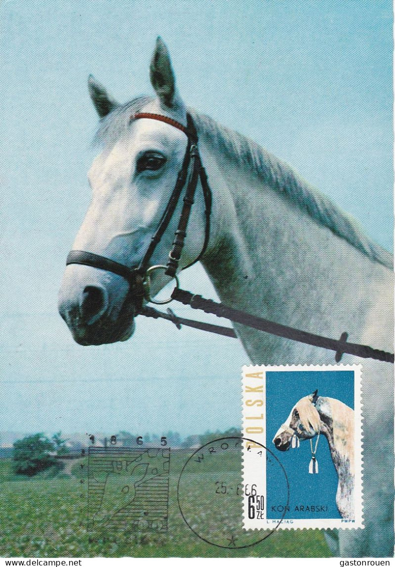 Carte Maximum Hongrie Hungary Cheval Horse 1321 - Maximum Cards & Covers