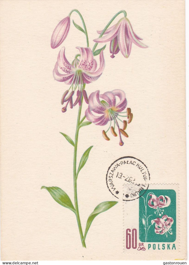 Carte Maximum Hongrie Hungary Fleur Flower 908 Lys Lily - Tarjetas – Máximo