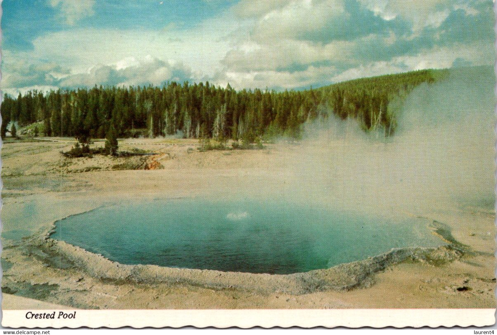 20-3-2024 (3 Y 33) USA - Crested Pool - Yellowstone