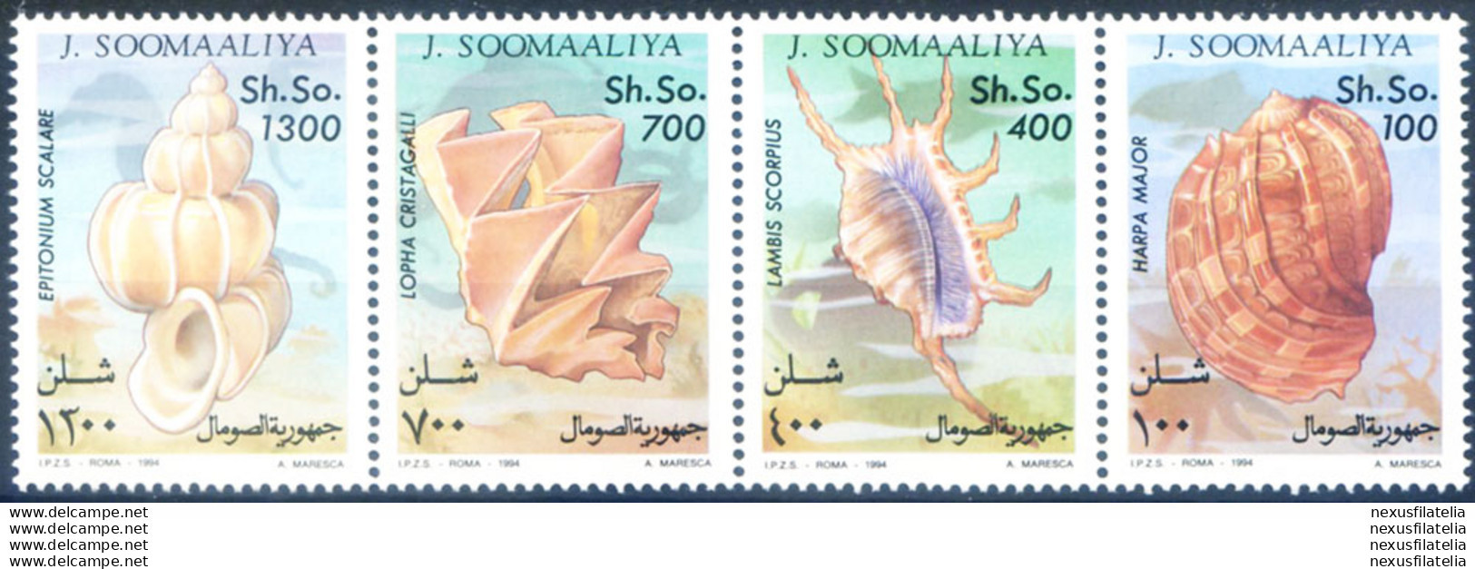 Conchiglie 1994. - Somalie (1960-...)