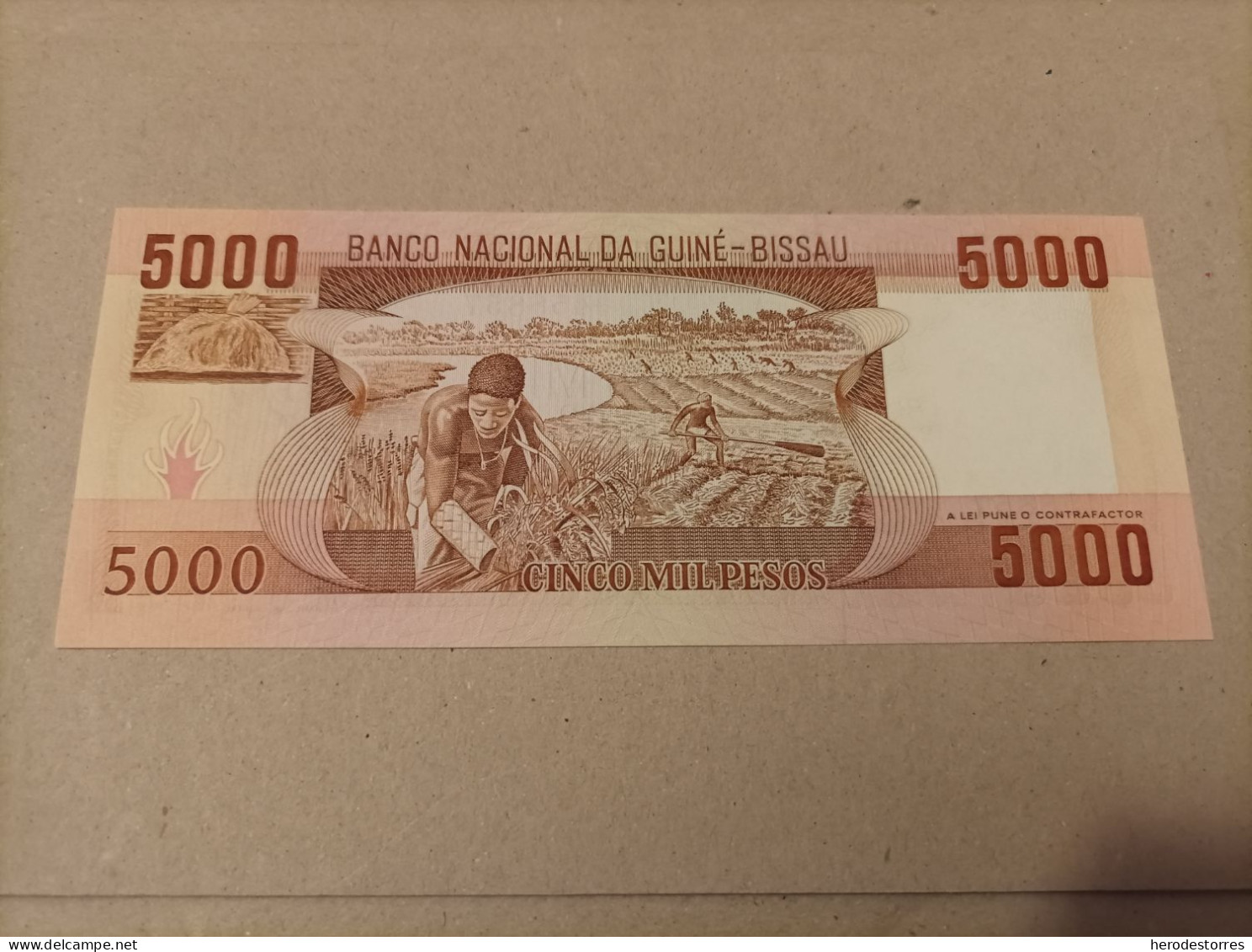 Billete Guinea Bissau, 5000 Pesos, Serie A, Año 1984, UNC - Guinee-Bissau