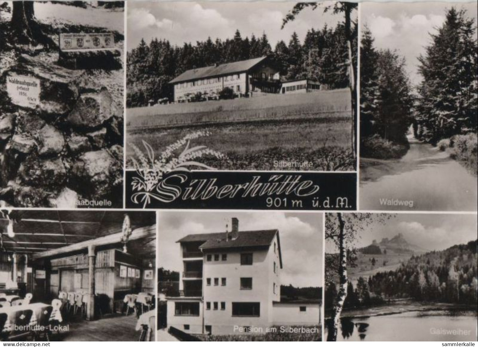 67228 - Flossenbürg - Schutzhaus Silberhütte - 1961 - Neustadt Waldnaab