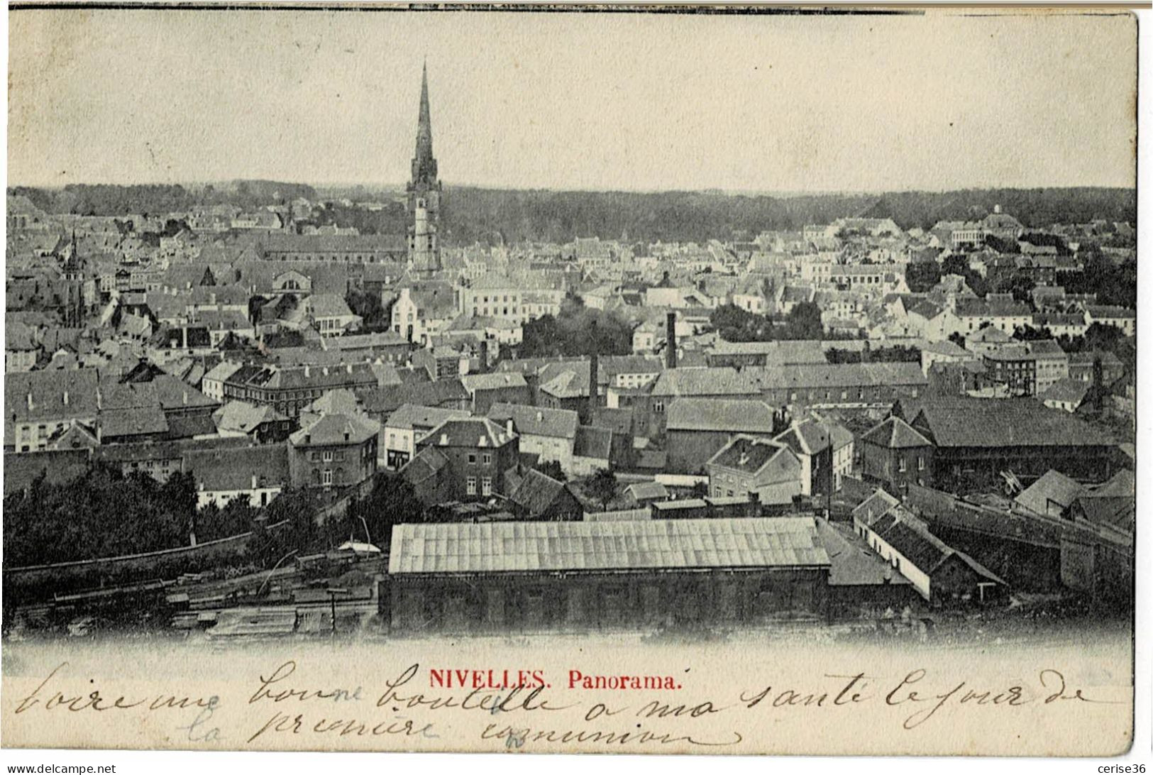 Nivelles Panorama Circulée En 1903 - Nivelles