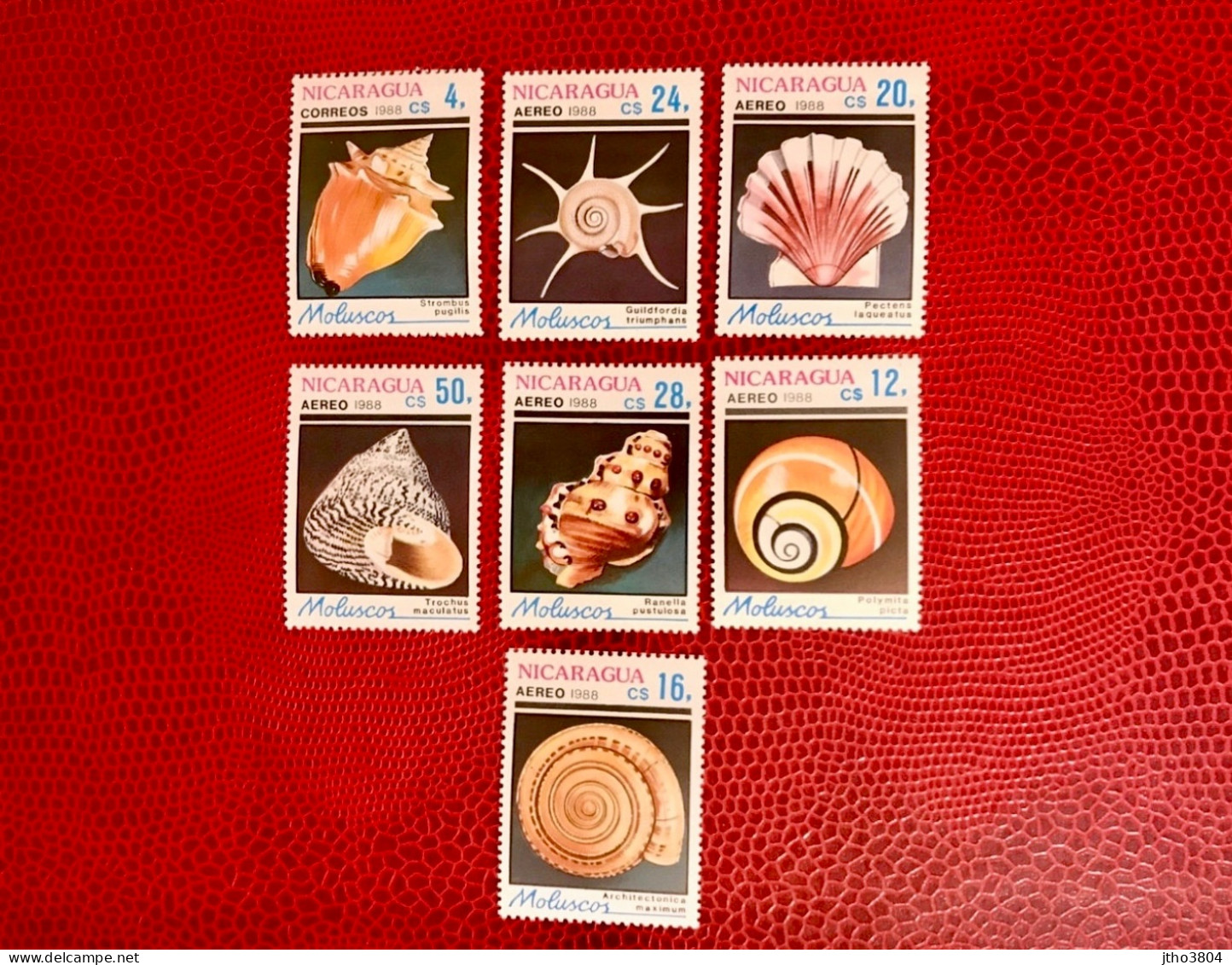 NICARAGUA 1988 7v Neuf MNH Mi 2887 / 2893 Conchas Shells Muscheln Conchoglie - Muscheln