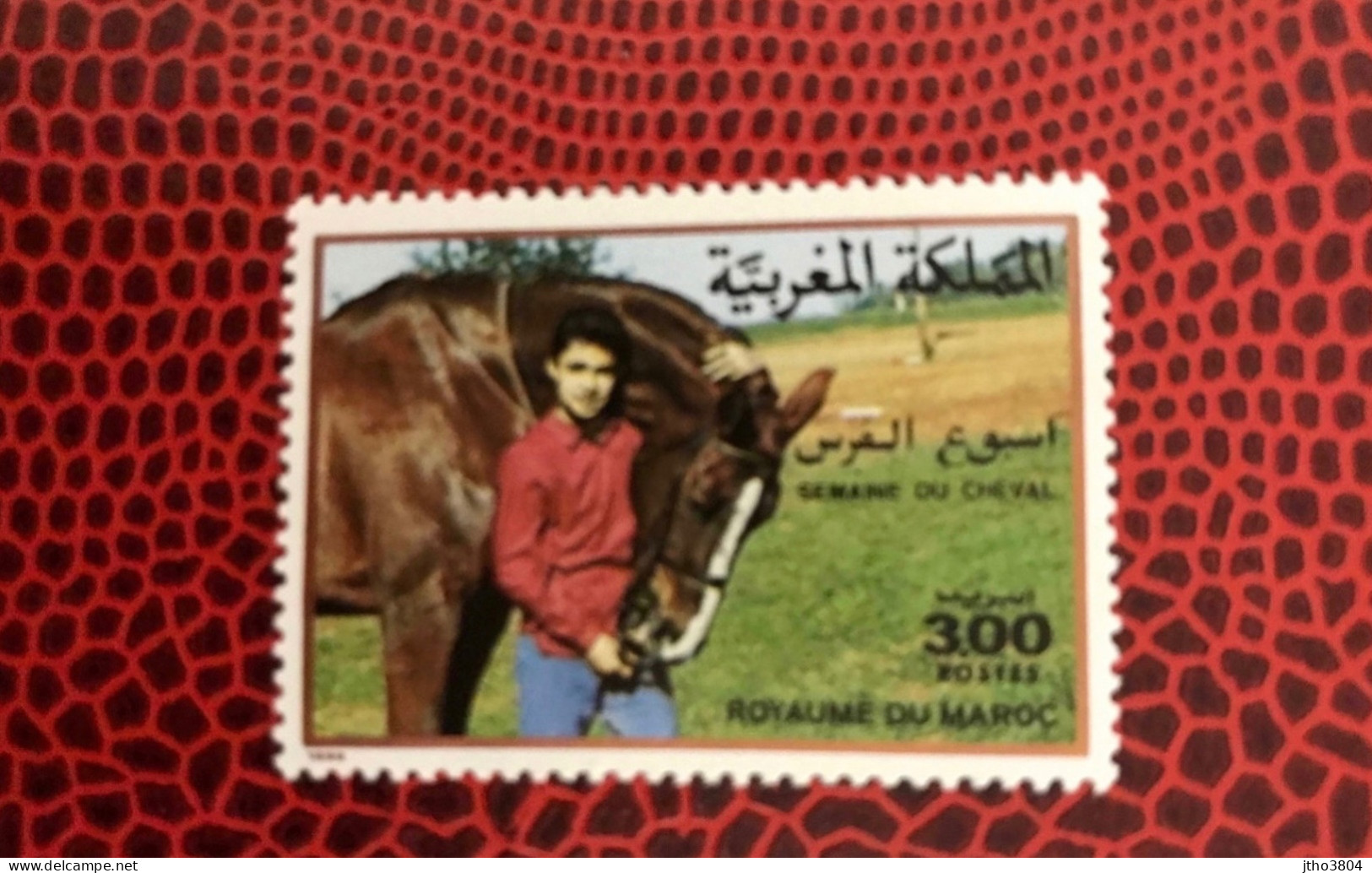 MAROC 1988 1v Neuf MNH ** YT 1049  Caballo Horse Pferd Cavalo Cheval MOROKKO MOROCCO - Horses