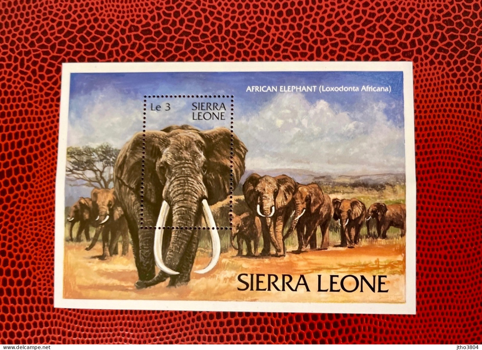 SIERRA LEONE WWF Bloc 1v Neuf MNH **  Mamíferos Mammals Säugetiere Mammiferi Mammifère - Olifanten