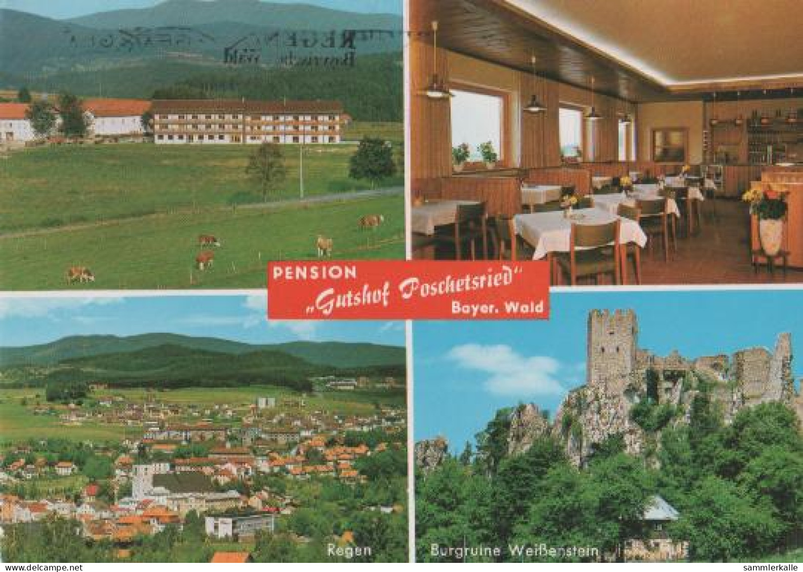 22227 - Regen - Poschetsried - Gutshof Pension - 1983 - Regen