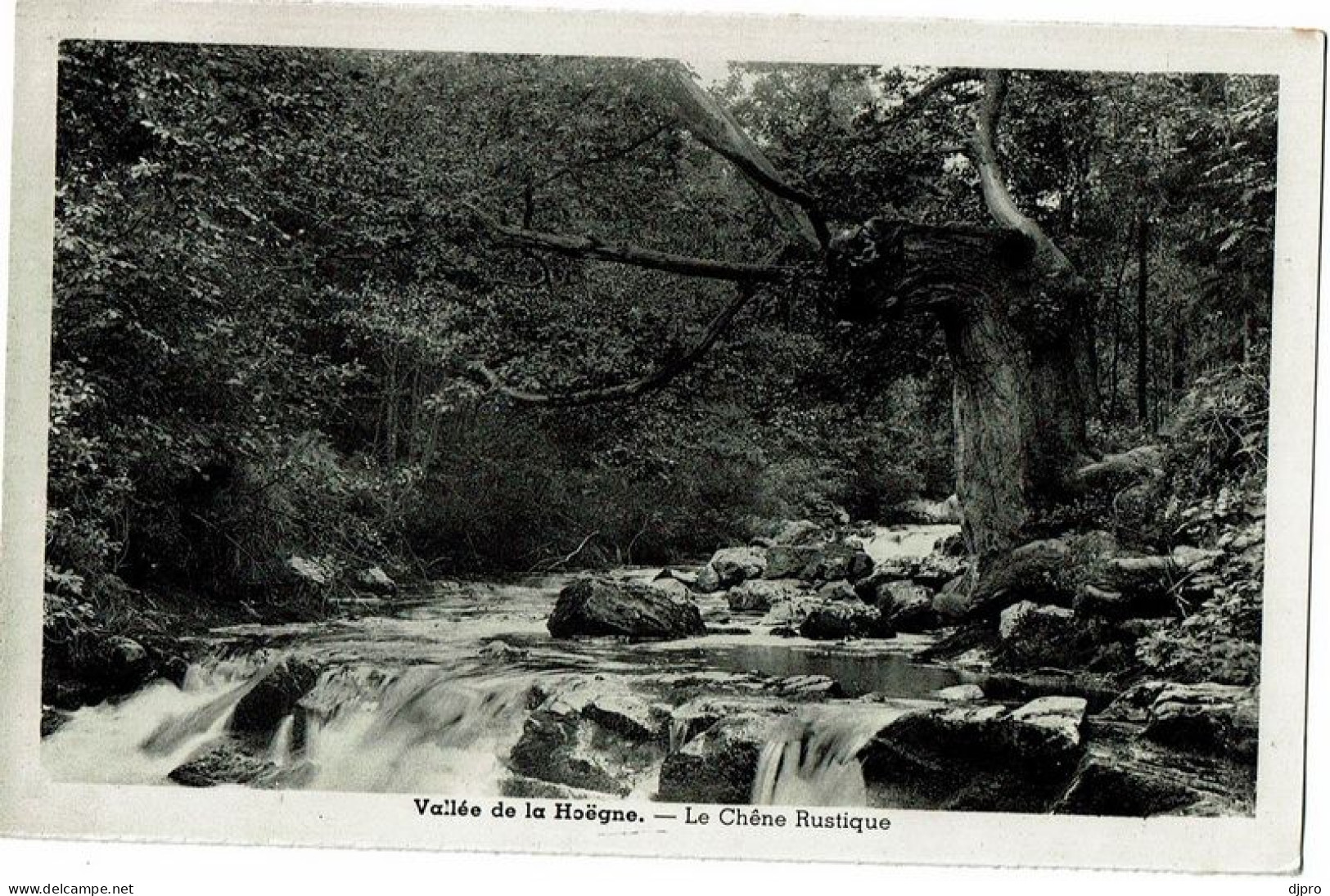 Vallée De La Hoegne  Le Chene Rustique - Spa