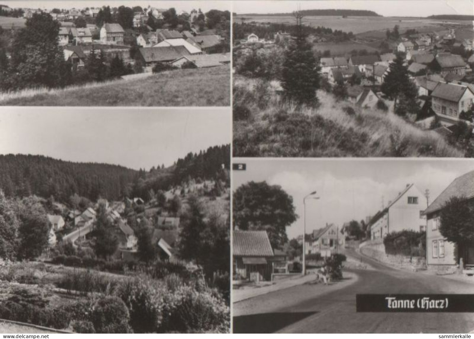 50873 - Tanne - U.a. Bodetalstrasse - 1983 - Halberstadt