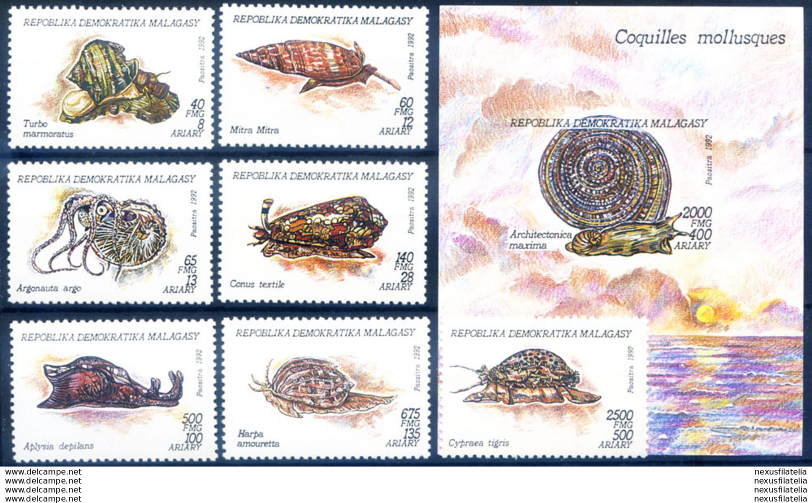 Fauna. Molluschi 1992. - Madagascar (1960-...)