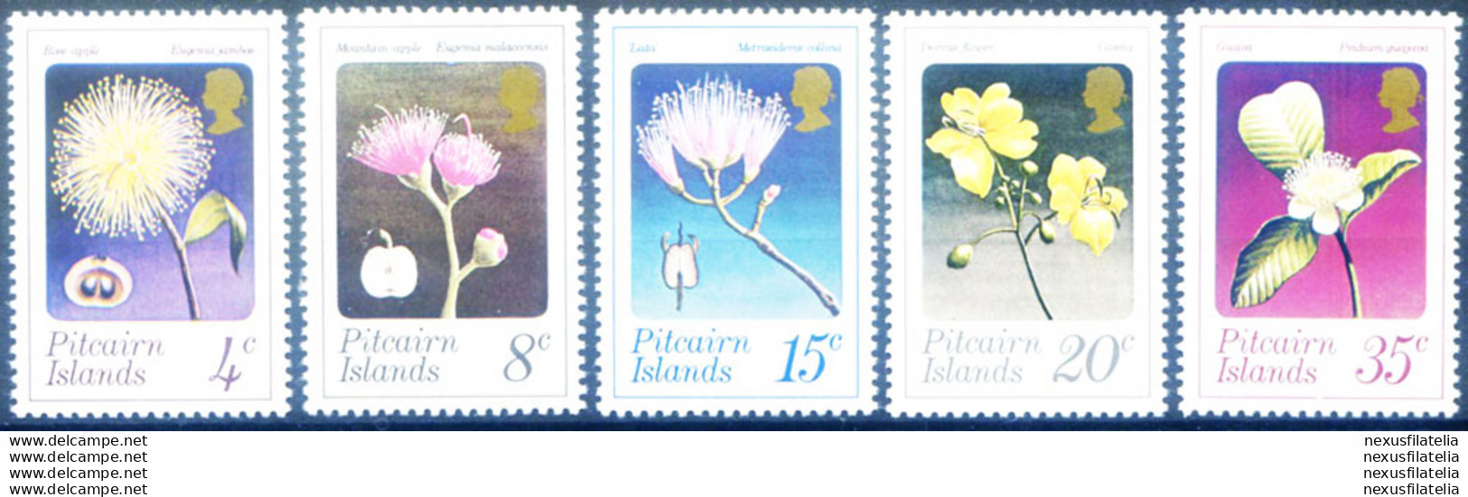 Flora. Fiori 1973. - Pitcairn Islands