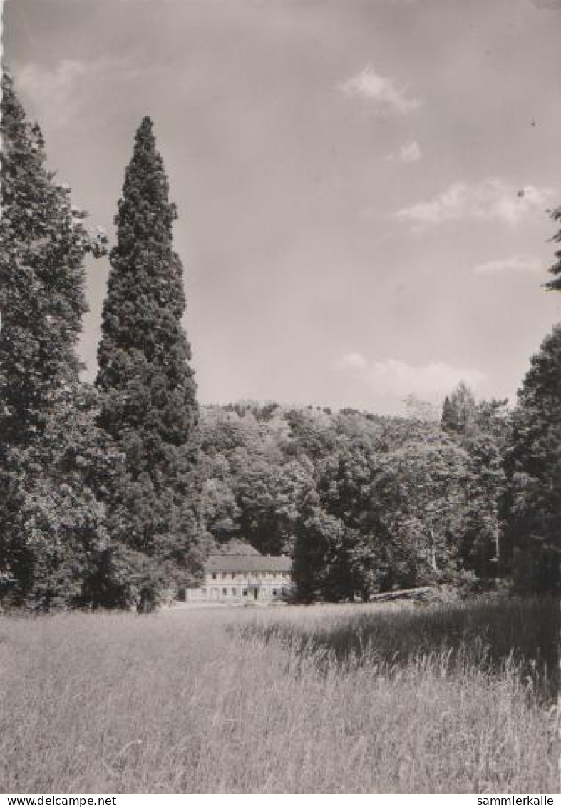 18518 - Bensheim-Auerbach - Herrenhaus - Ca. 1965 - Bensheim