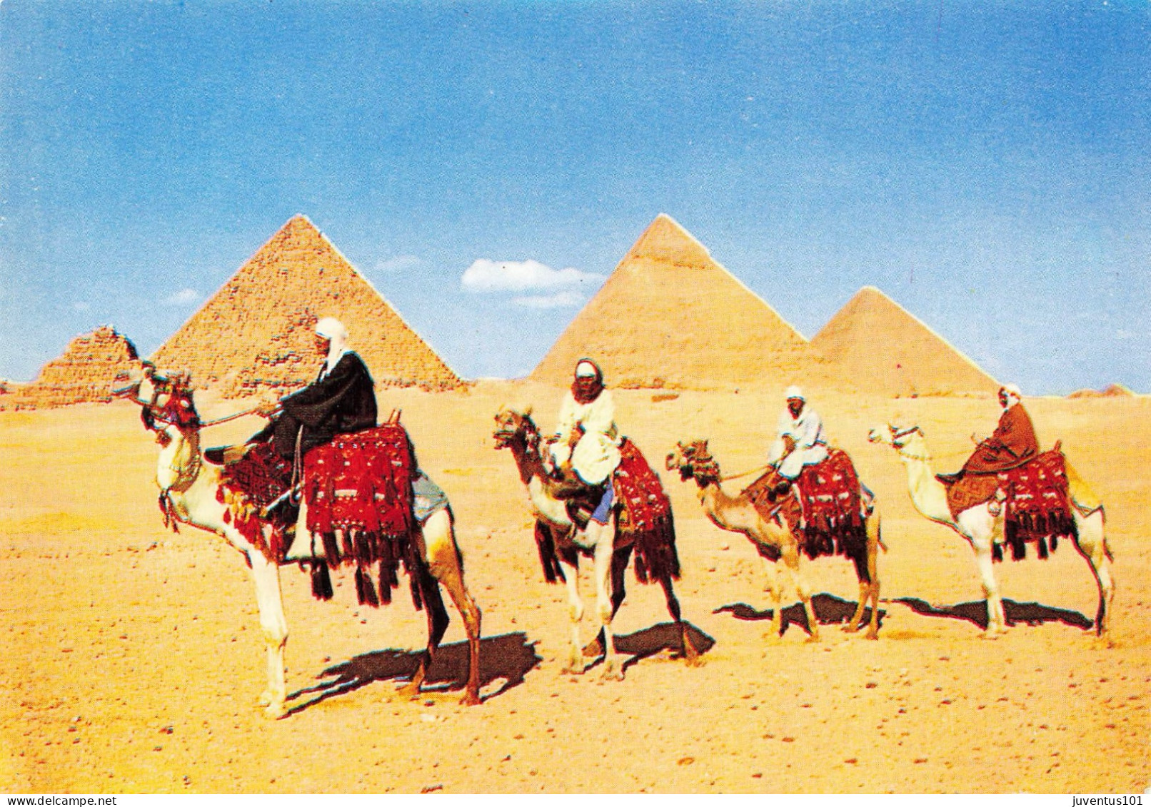 CPSM Giza-Arob Comelriders In Tront Of The Pyramids      L2758 - Guiza