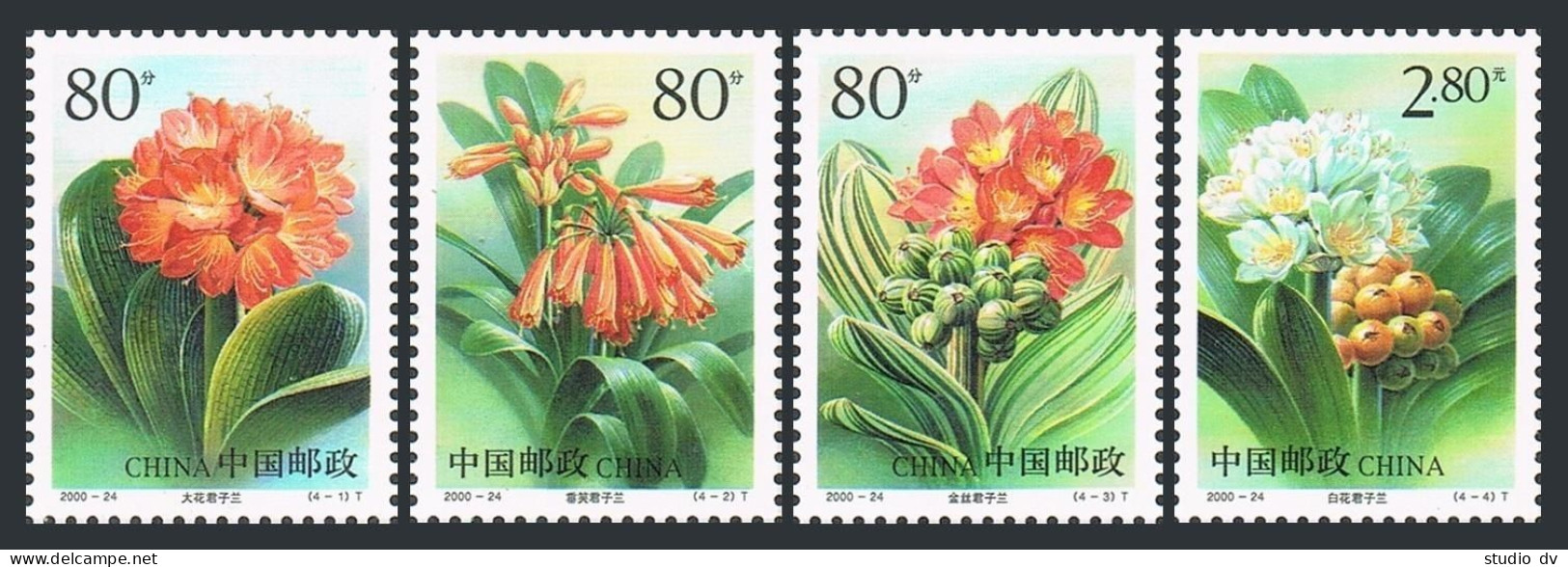 China PRC 3070-3073,MNH. Lilies 2000.Scarlet Kaffir,Noble Clivia,Golden Striated - Ungebraucht