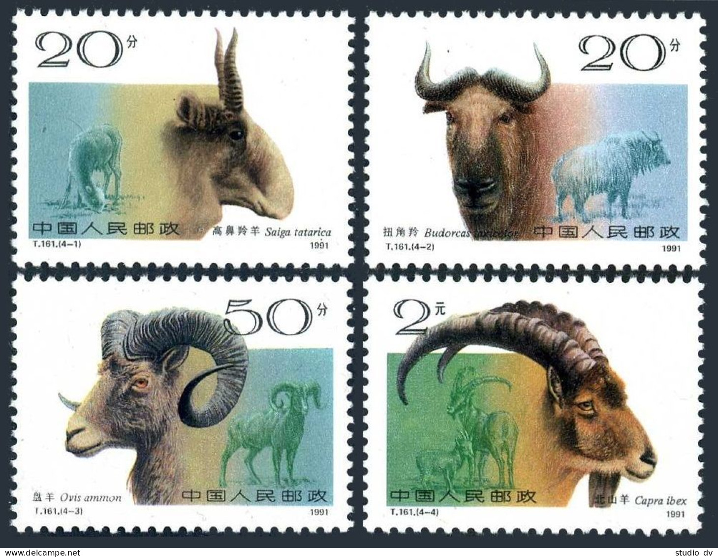 China PRC 2322-2325, MNH. Michel 2356-2359. Horned Animals 1991. Saiga Tatarica, - Neufs