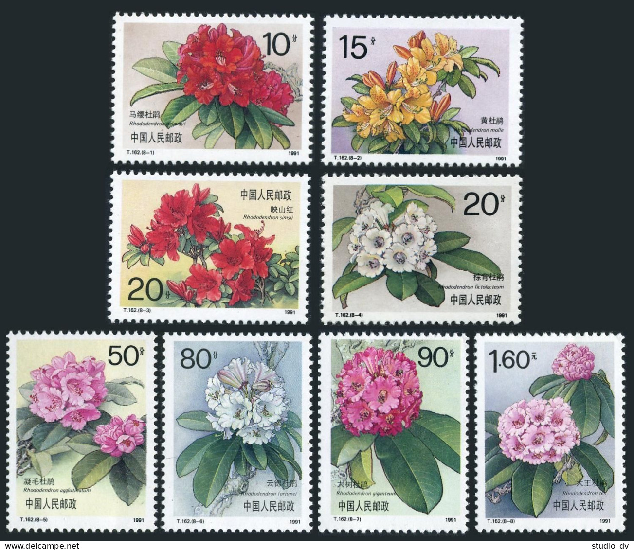 China PRC 2330-2337, 2338, MNH. Michel 2364-2371,2372 Bl.57. Rhododendrons 1991. - Neufs