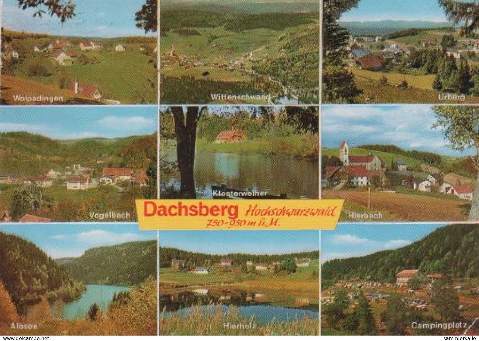 415 - Dachsberg - Wolpadingen, Vogelbach, Wittenschwand, Klosterweiher, Hierholz, Hierbach, Campingplatz - Waldshut-Tiengen
