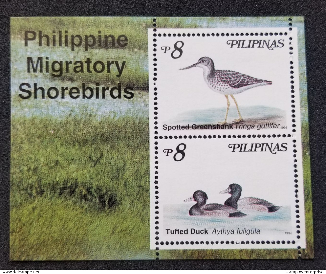 Philippines Migratory Birds 1999 Shorebird Duck Fauna Wildlife Bird (ms) MNH - Philippinen