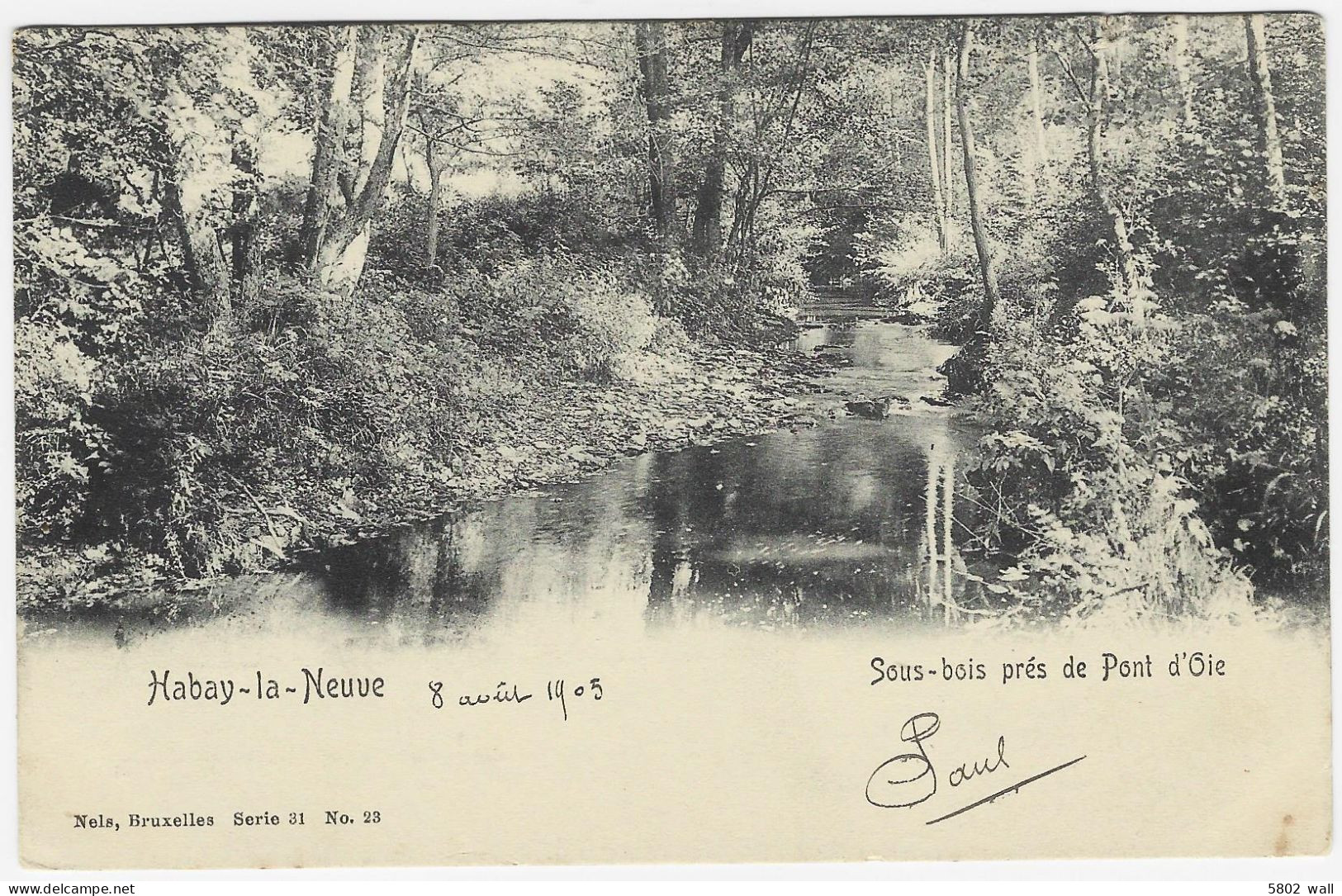 HABAY-LA-NEUVE : Un Sous-bois Près Du Pont D'Oie - 1905 - Habay