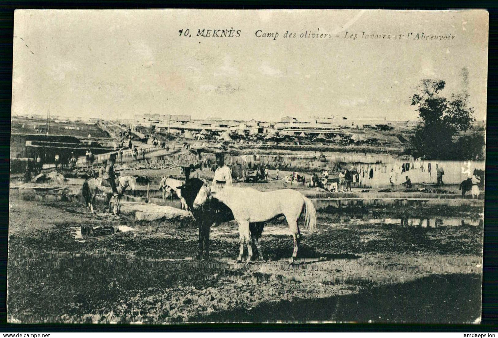 A68  MAROC CPA MEKNES - CAMP DES OLIVIERS - Collections & Lots